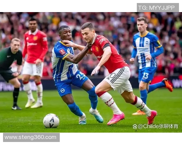 临澧县足球明星阵容正式揭晓全新名单引发球迷热议